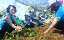 Thi Phụ nữ khởi nghiệp: Tạo cơ hội cho những ý tưởng tiến xa