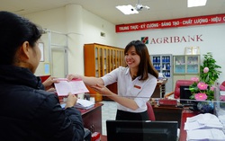 Tạo sức bật mới, Agribank góp phần thúc đẩy 
phát triển kinh tế bền vững