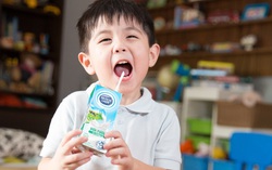 Mùa này các mẹ cần chú ý sức khỏe dinh dưỡng, cùng "vén màn" bí mật quy trình sản xuất của loại sữa tươi an toàn hơn chuẩn 11 lần!