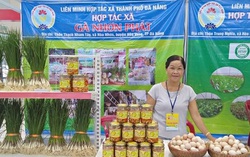 Mang đến sản phẩm an toàn từ mô hình chăn nuôi thuần tự nhiên