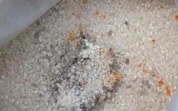 3 loại gạo có cho thêm tiền cũng đừng mang về nhà