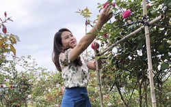 Ứng dụng công nghệ 4.0 vào mô hình trang trại dâu tây và hoa hồng