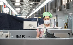 Doanh nghiệp dệt may rất sợ phải "hy sinh một bộ phận nhỏ để cứu con thuyền lớn không chìm"