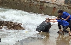 Sở Tài nguyên và Môi trường và công an vào cuộc xử lý vụ vứt hơn chục bao tải rác xuống biển Vũng Tàu