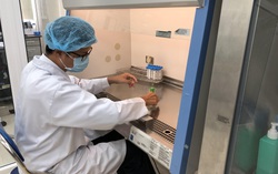 Bệnh viện Hùng Vương thành lập khoa Nhũ và khoa Di truyền y học