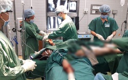 TPHCM: Thanh niên bị cây đổ đè trên đường đã tử vong