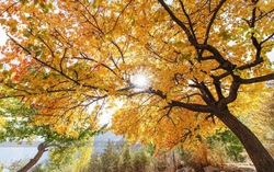 Thiên đường mùa thu ở thung lũng Hunza 