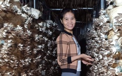 Gây dựng trang trại nấm hữu cơ từ vẻn vẹn 40 triệu đồng vay tín chấp
