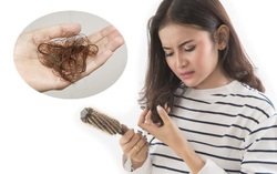 Mách nàng cẩm nang ứng phó với "mùa tóc rụng" 