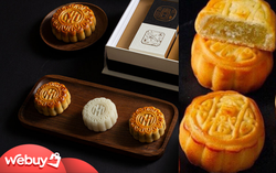 Bánh Trung thu năm nay: Chiếc đắt nhất chỉ muốn để ngắm, chiếc rẻ nhất gây hoang mang về chất lượng