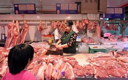 Chuyên gia nhận định giá thịt lợn Tết Nguyên đán Tân Sửu thế nào?