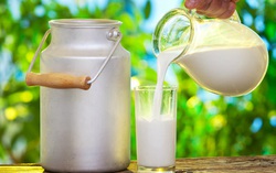 Phụ nữ mang thai không nên bỏ qua 10 thực phẩm giàu vitamin A này