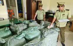Tiền Giang: Tạm giữ 900kg hàng may mặc nghi nhập lậu 