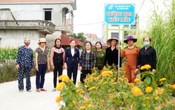 Con đường hoa dài cả cây số đẹp như trong “truyện cổ tích”