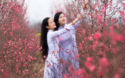 89 điểm chợ hoa xuân phục vụ người thủ đô sắm Tết  2021