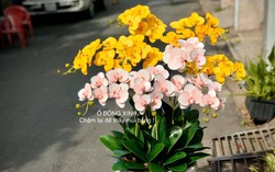 Đam mê làm đồ handmade