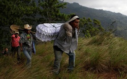 Guatemala: Số trẻ em chết vì suy dinh dưỡng gia tăng