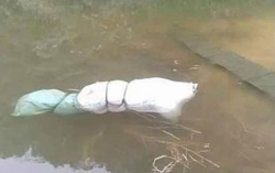 Điều tra vụ thi thể người phụ nữ bị cuốn chặt trong bao tải nổi trên mặt hồ