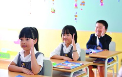 Nội chiến "trường công, trường tư" trước ma trận các trường