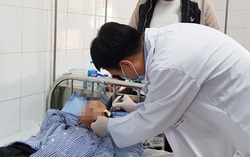 Liên tiếp 2 trường hợp bị chó becgie gia đình nuôi cắn gây thương tích