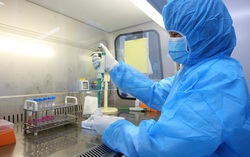 TP.HCM: Bé gái 8 tuổi tái dương tính với SARS-CoV-2