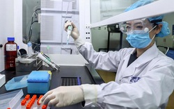 Việt Nam đàm phán với đối tác của 4 nước mua vaccine phòng chống Covid-19