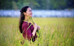 Ước vọng phát triển thương hiệu gạo hữu cơ Việt Nam  vươn tầm quốc tế