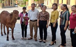 Bắc Giang: Tập huấn nghiệp vụ công tác Hội năm 2021 cho cán bộ cơ sở