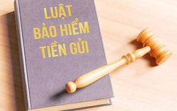 Nâng hạn mức trả tiền bảo hiểm tiền gửi lên 125 triệu đồng