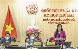 Thận trọng tiến hành các phiên tòa trực tuyến, có đánh giá, rút kinh nghiệm rồi mới nhân rộng