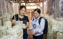 Kiến nghị bổ sung quy định tạo cơ sở để bảo hiểm vi mô phát triển