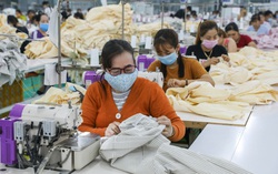 Ưu tiên hướng nghiệp lao động nữ, lao động phi chính thức trong tái cơ cấu kinh tế