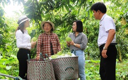 Agribank góp phần thúc đẩy phát triển nông nghiệp tuần hoàn