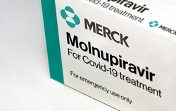 Chuyên gia nói về thuốc điều trị Covid-19 Molnupiravir mới được cấp phép
