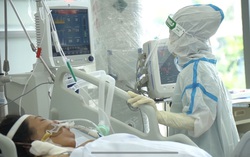 Không chỉ gây tổn thương phổi, SARS-CoV-2 còn tấn công nội mạc mạch máu