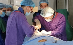 Can thiệp mạch lấy dị vật mắc kẹt ở tim