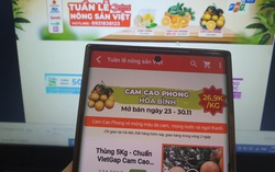 Lên sàn thương mại điện tử mua cam Cao Phong, Hà Giang chính gốc, giá ưu đãi 