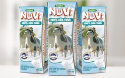 Nuôi bò sữa bằng thảo dược, Nutifood tạo đột phá mới