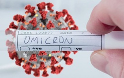 Chỉ đạo của Thủ tướng Chính phủ về việc kiểm soát biến chủng mới Omicron của virus SARS-CoV-2