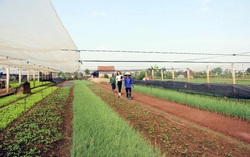 Để Chỉ thị 40 đi vào lòng dân 