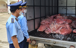 Phát hiện 650 kg thịt sườn lợn thối trên đường đưa đi tiêu thụ