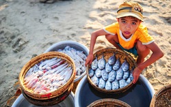 Đại dịch Covid-19 làm gia tăng lao động trẻ em trái quy định