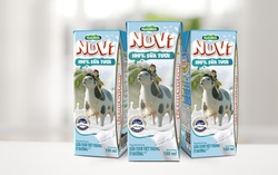 Nutifood đăng kí sáng chế thức ăn chăn nuôi bò sữa bổ sung thảo mộc