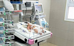 Bé 13 ngày tuổi bị suy đa tạng vì uống thuốc Nam trị viêm da