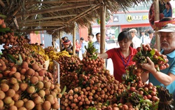 10 sự kiện khoa học và công nghệ nổi bật tại Việt Nam năm 2021