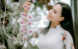 Giò phong lan lung linh trong nắng sớm