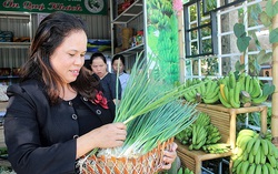 Thừa Thiên-Huế: Hỗ trợ phụ nữ vùng cao phát triển kinh tế, ổn định cuộc sống trong mùa dịch