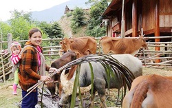 Về nơi “3 không, 1 có”