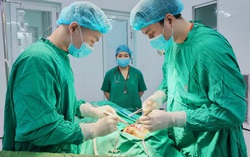Bé 10 tuổi bị chó cắn rách mặt