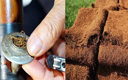 Hút thuốc lào có hại như thuốc lá không?